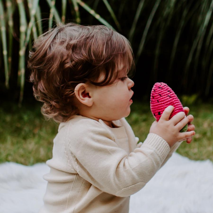 Watermelon Rattle