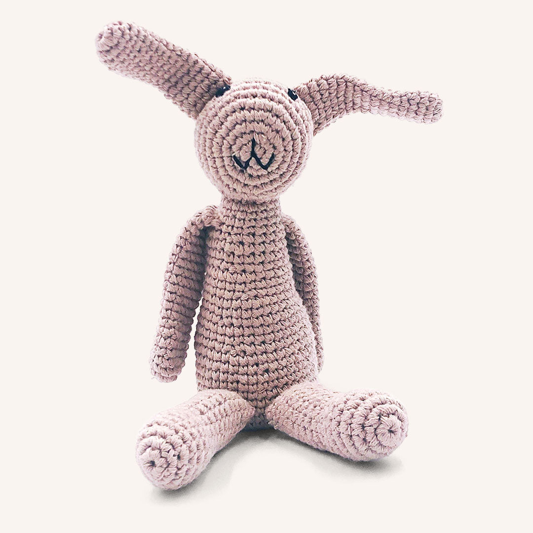 First Bunny