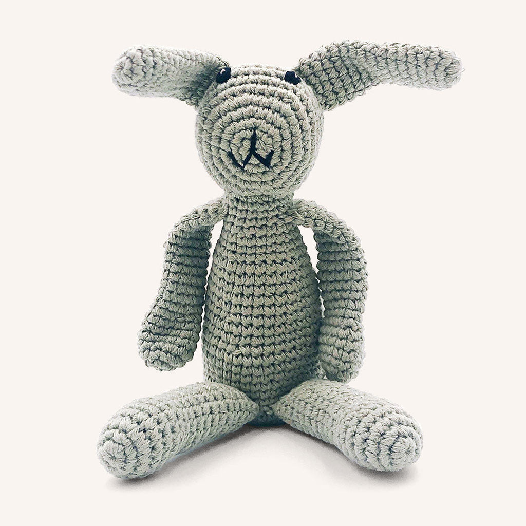 First Bunny