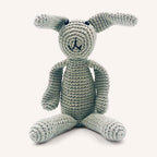 First Bunny