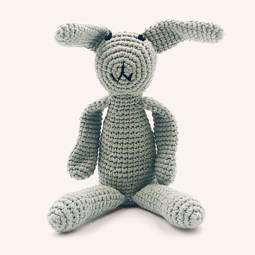 First Bunny