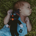Black Cat Rattle