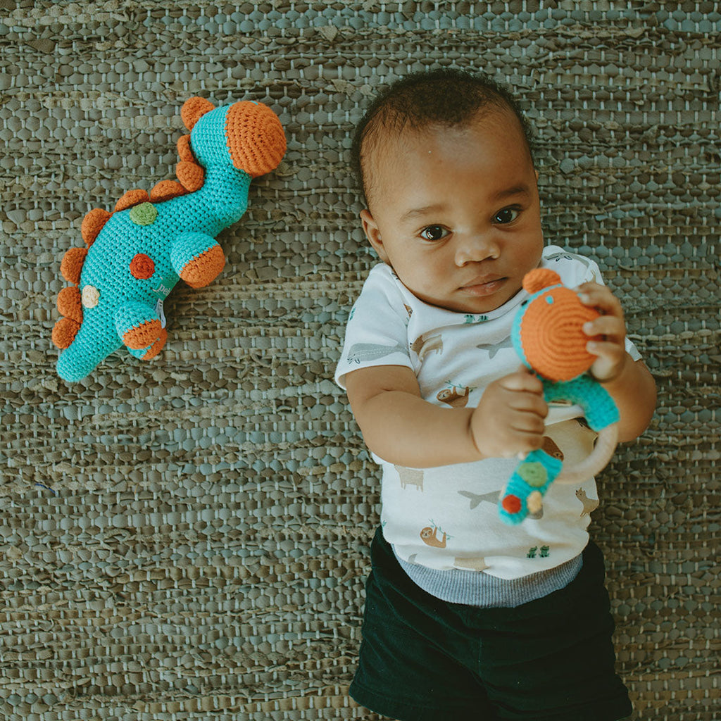 Steggy Rattle