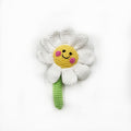 Daisy Rattle