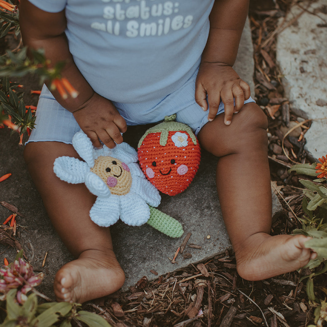 Daisy Rattle