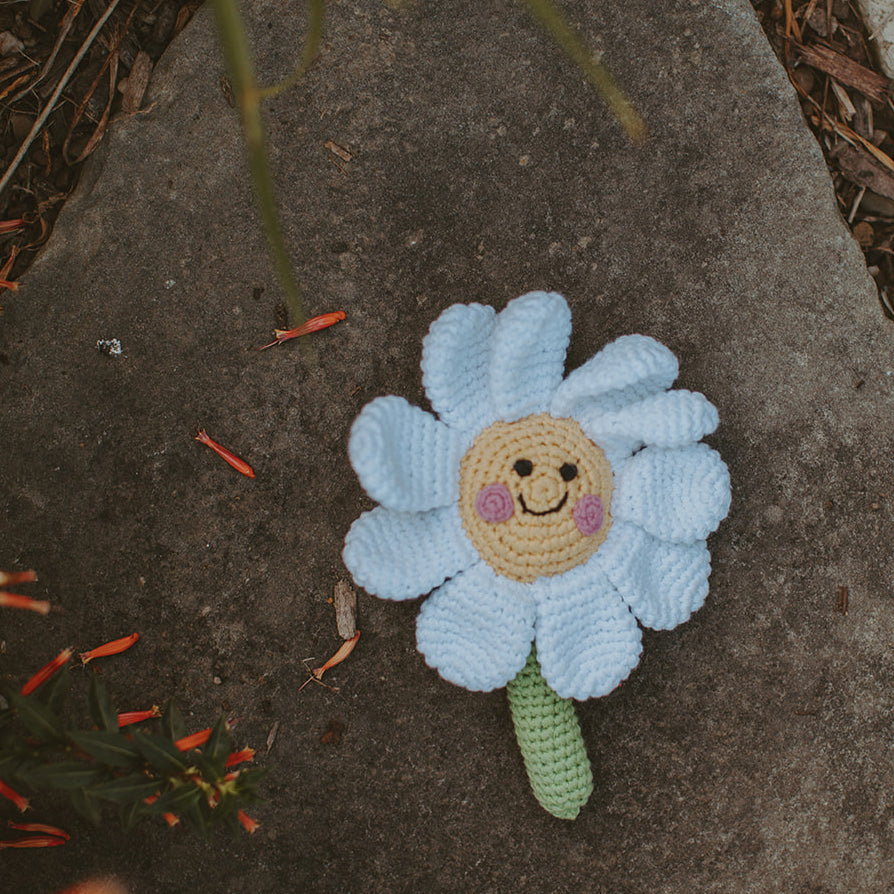 Daisy Rattle