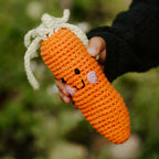 Carrot Rattle