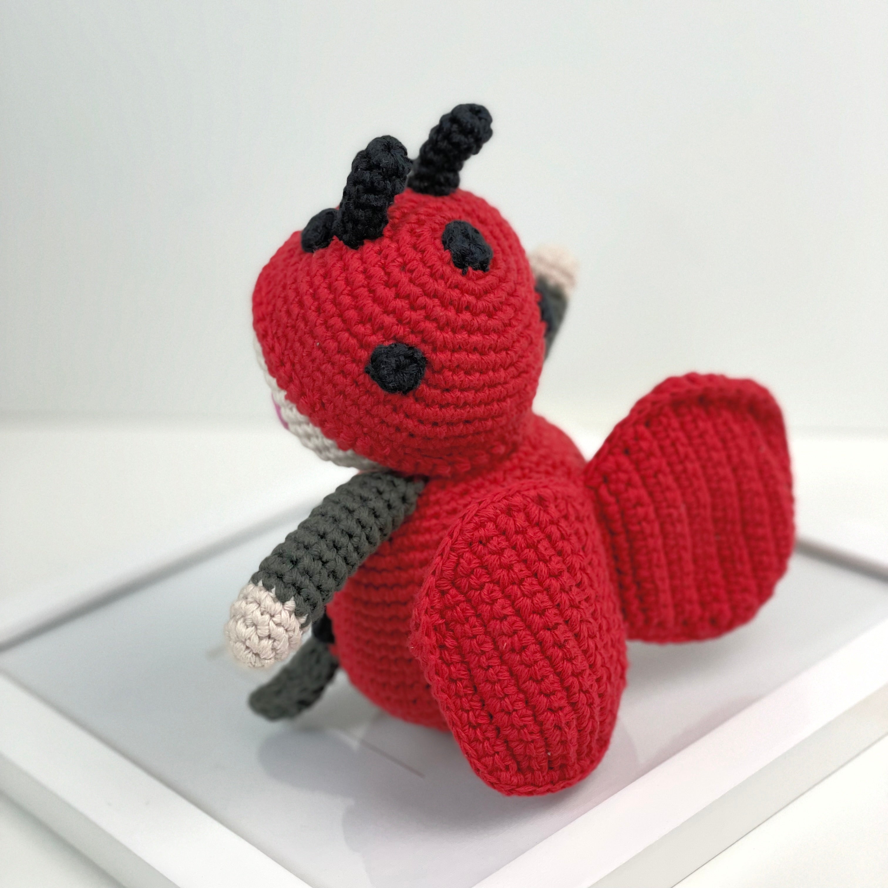 Ladybird Rattle