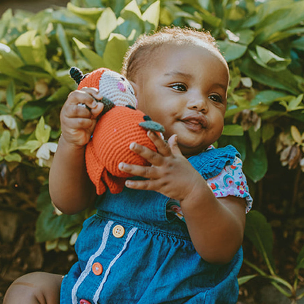 Ladybird Rattle