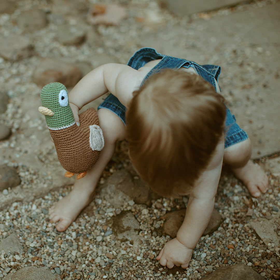Mallard Duck Plush
