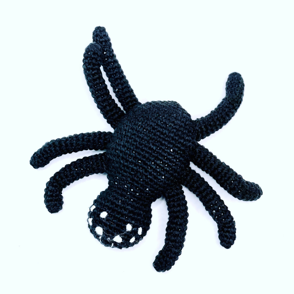 Spider Rattle