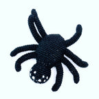 Spider Rattle