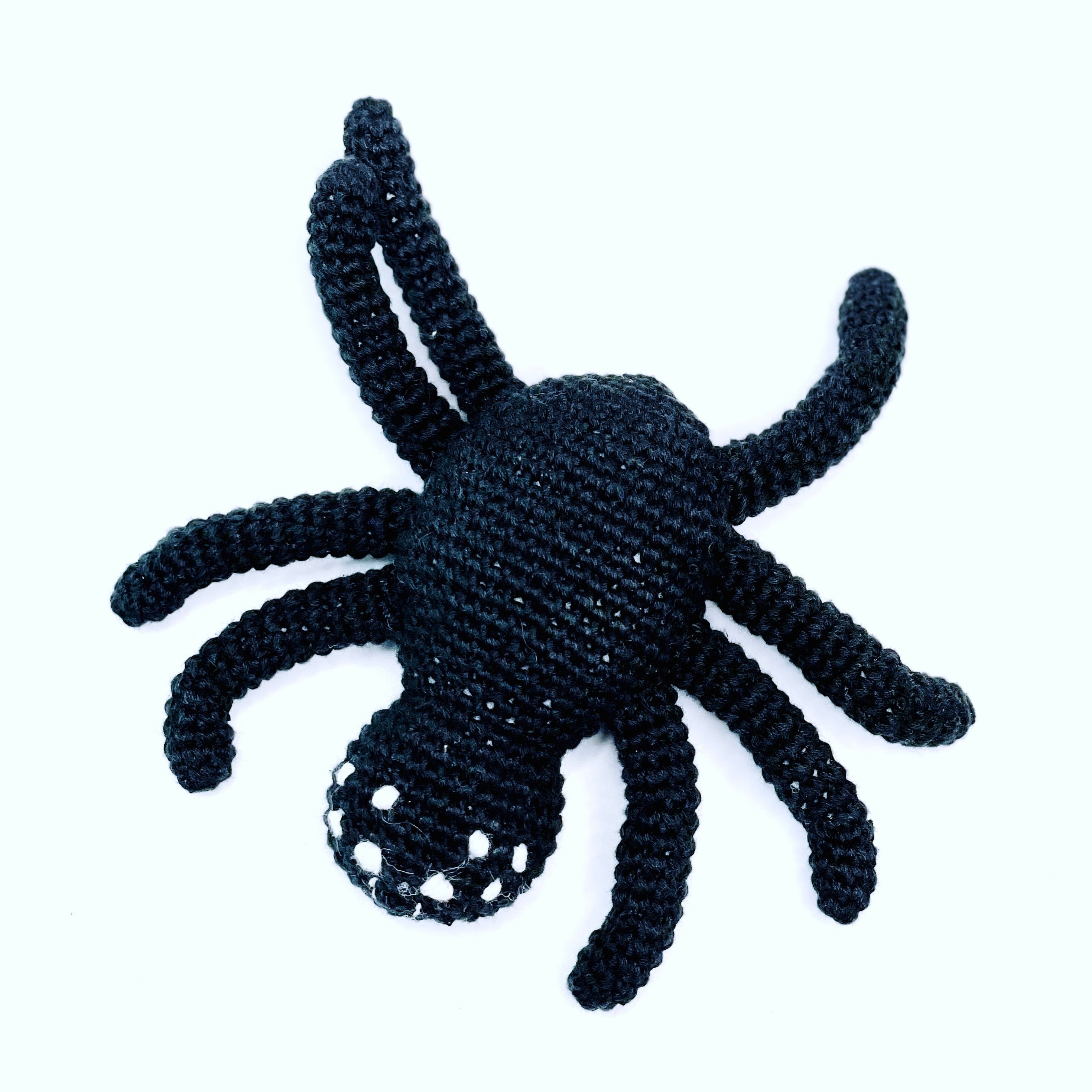 Spider Rattle