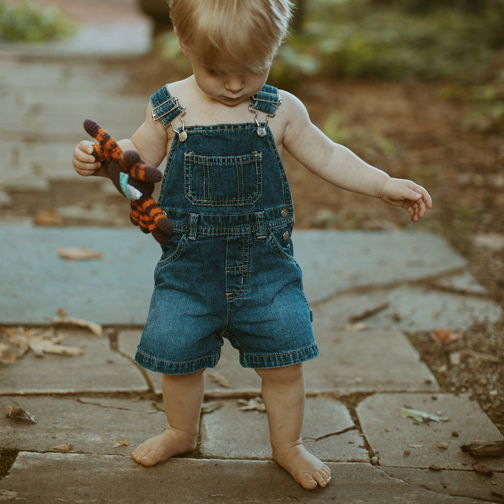 Spider Rattle