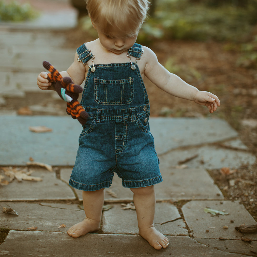Spider Rattle