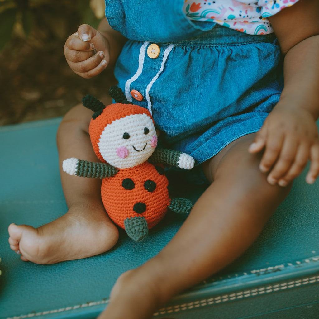Ladybird Rattle